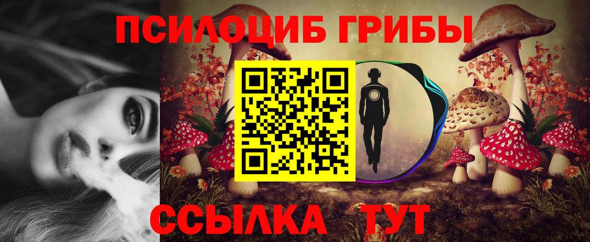 как найти наркотики  Галлюциногенные грибы мицелий  Вход с VPN  Уссурийск 