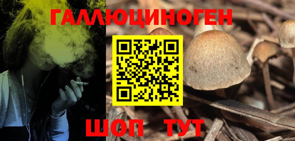 Галлюциногенные грибы мицелий Уссурийск